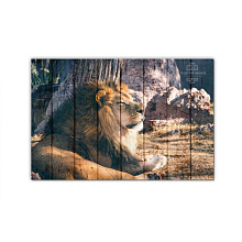 Панно с изображением льва Creative Wood ZOO ZOO - 3 Лев